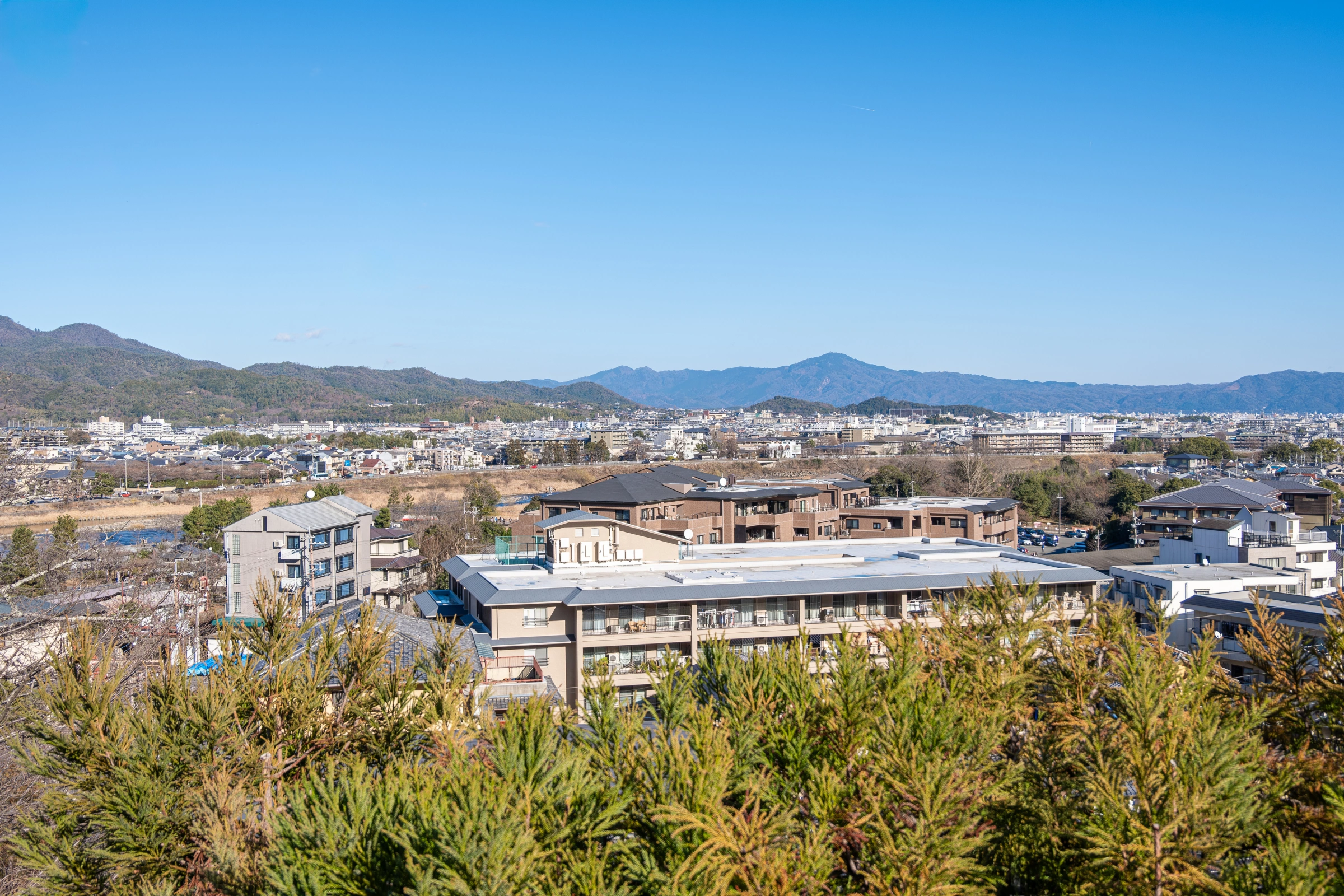 Horin[1].webp